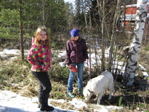 Koiranhoitajakoulutus